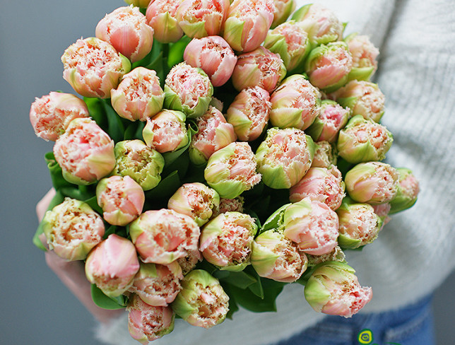 Fringed tulips resembling peonies (Custom order, 10 days) photo